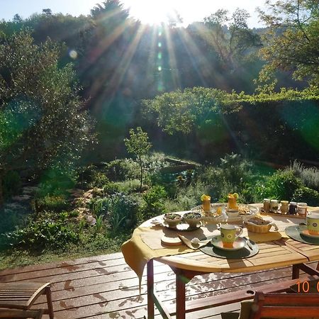 Kioui Bed and Breakfast Rennes-les-Bains Buitenkant foto